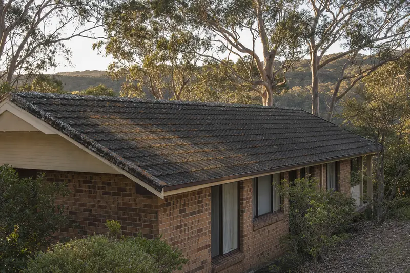 An older concrete-tile roof on a brick-veneer house patched with orange lichen and dark moss, gums and a bushland ridge behind in late sun — roof cleaning, Central Coast. Illustrative example.