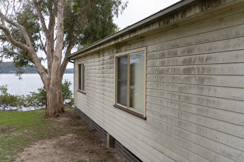 The side wall and eaves of an older weatherboard cottage streaked with grey-green mould, a paperbark beside it and calm water beyond — house washing, Central Coast. Illustrative example.